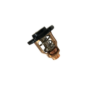 Thermostat für Yamaha F80D und F100F (6FP-12411-00)