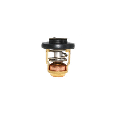 Thermostat für Yamaha F9.9H, F15C und F20B (6AH-12411-00)
