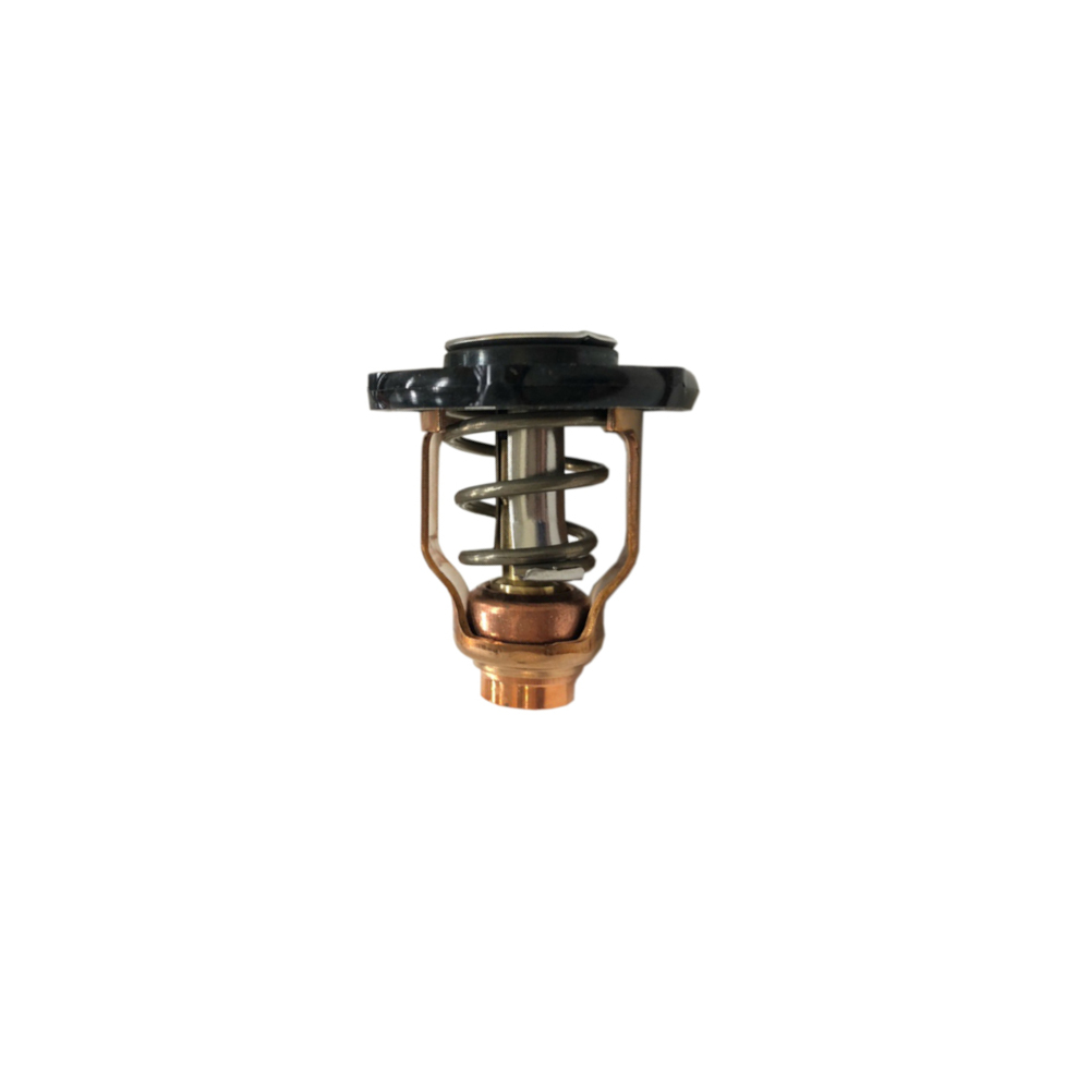 Thermostat für Yamaha F80D und F100F (6FP-12411-00)