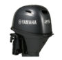 Yamaha F25D