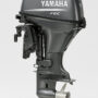 Yamaha F6C
