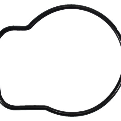 O-Ring Wasserpumpengehäuse zu Impellergrundplatte für Suzuki DF40A DF50A DF60A (17416-95J00)