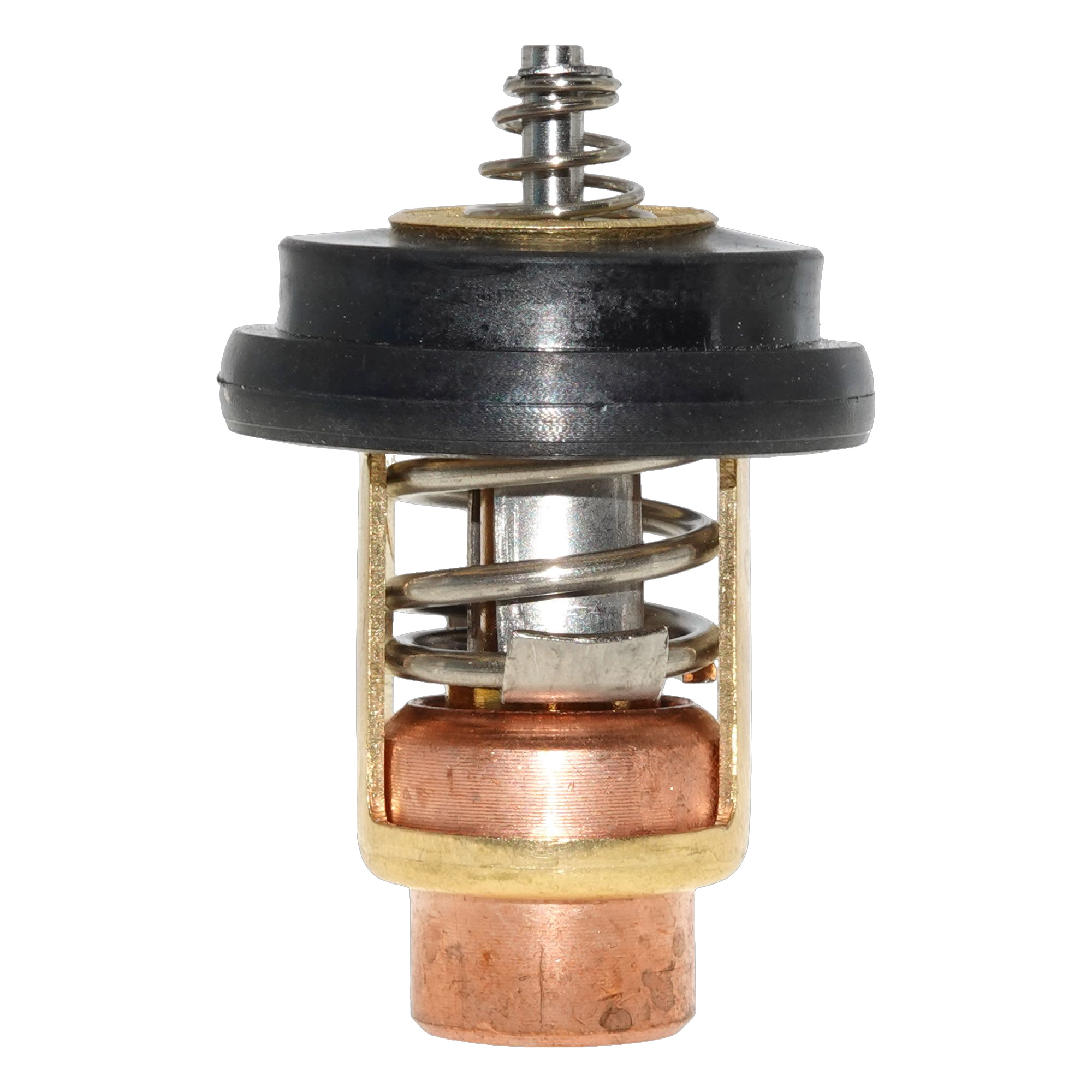 Thermostat 49°C für Mercury F2 F2.5 F3.5 F4 F5 F6 (804540 8M0228409)