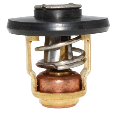 Thermostat 60°C für Yamaha F20G F25G (6FM-12411-00)